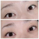 투더블유래쉬 | 군산 속눈썹펌 추천 투더블유래쉬 무쌍 짝눈 L컬 후기