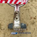 정재 초등학교 이미지