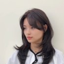 달비아뜰리에