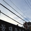 서민동대문곱창막창 | 강서구 막창 맛집 동대문곱창 리얼 후기
