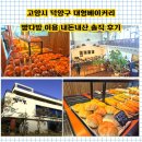 대장다방 | 고양시 덕양구 대형베이커리 빵다방 이용, 내돈내산 솔직 후기
