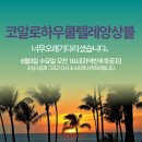 우쿨렐레(추가모집) 네이버블로그