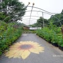 칠갑산황토펜션3 이미지