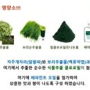 그린시너지 이미지