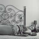 다스름한의원 이미지