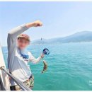 반도낚시 이미지