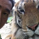 대전오월드 이미지