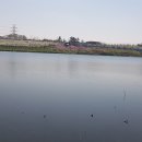 에그머니나 이미지