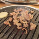 힘찬유황오리 이미지