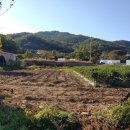 강남로(남) 이미지