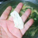 털래기수제비
