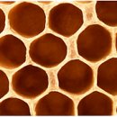 반야월정신건강의학과의원 이미지