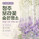 수피아관광농원 | 2026 청주 수피아자작나무농원 보라꽃 시즌 아이랑 주차·뚜벅이·반려견 체크
