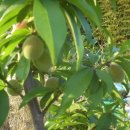 경희농원 이미지