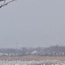 선산대로-11 이미지