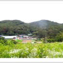 시례새터길 이미지