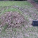 이승훈묘 이미지