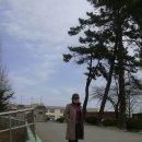 초촌초등학교 이미지