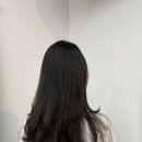 세븐에비뉴 하겸 이미지