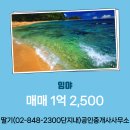 강화토지개발 공인중개사 사무소 | 매매 1억 2,500 (딸기(02-848-2300단지내)공인중개사사무소)