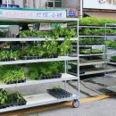 대소 시장 화장실 이미지