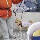 지리산동물병원 네이버블로그