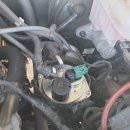 쌍용자동차 수지서비스프라자 이미지