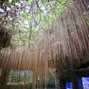 서천장항현대서비스 이미지