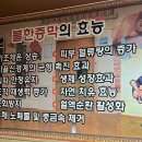 청주불한증막 네이버블로그