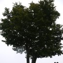 삼양모텔 이미지