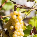 자연 + 인간 + 이미지