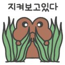 설아약국 이미지