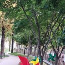 매곡근린공원 이미지