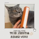 덴탈엔 | 고양이 칫솔 추천, 캣디피 덴탈 초미세모 칫솔 VER2 후기