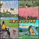 그린농장(GREEN) | 천안 글램핑 서울 근교 감성 힐링 여행, 스테이그린