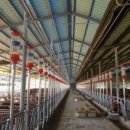 보령축산 이미지