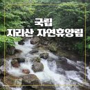 숲에서 온 유정란 | 함양 국립 지리산자연휴양림 솔직 숙박 후기- 부모님과 최고의 숲속 힐링 예약·체험·꿀팁 전부 공개!