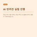 반려견 돌봄센터 일구삼 | 전남 AI 돌봄 반려견 실험, 우울점수 7.34→2.74 내려간 이유가 궁금하다면