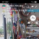 테리샵