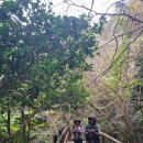 월출산 하늘아래 첫 부처길 산행_20251025 이미지