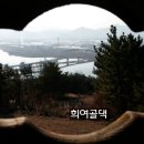 우리지물