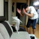 안주에배불러2호점 | [서울] 마포 합정역 단체 모임 술집 추천 안주가 다양한 컬투치킨 합정사랑점