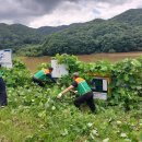 청룡저수지 이미지