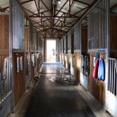 작은말학교 별내 이미지