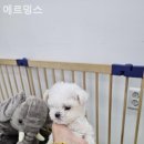 에르멍스 | 에르멍스 안전하고 건강한 환경