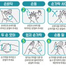 보니또라인