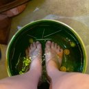 골든13(Golden13) | [베트남/다낭] 자유여행 다낭 마사지 추천! ‘라센스파&amp;골든로터스 오리엔탈 올가닉스파-본점‘ 솔직후기