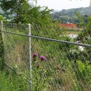 용대초등학교 이미지