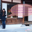 불심불교사 이미지
