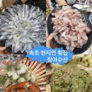 정아수산 | 속초 대포항 현지인 추천 횟집 : 정아수산